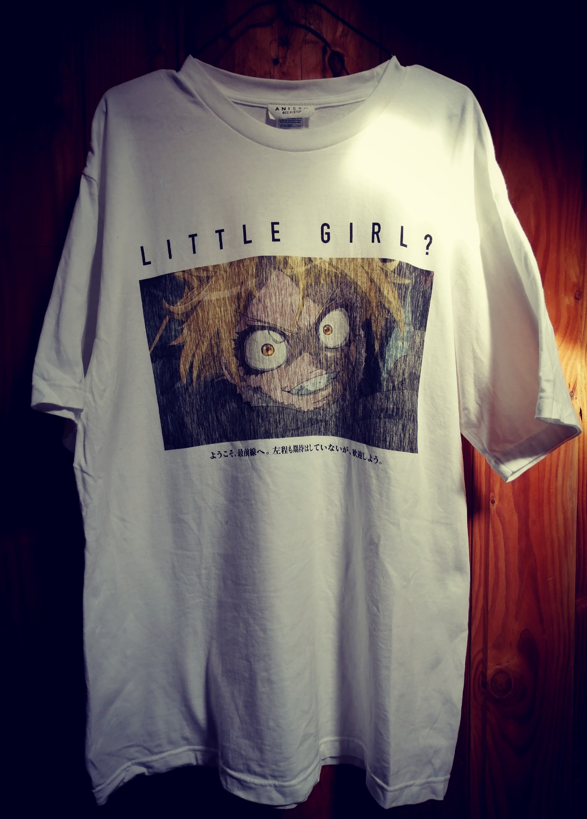かっこいいアニメTシャツを買うならここ！ | GKblog